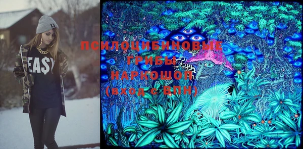 прущий лед Армянск