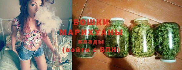 хмурый Арсеньев