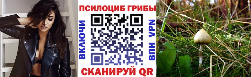 блэк спрут ONION  купить закладку  Комсомольск  Псилоцибиновые грибы Psilocybe 