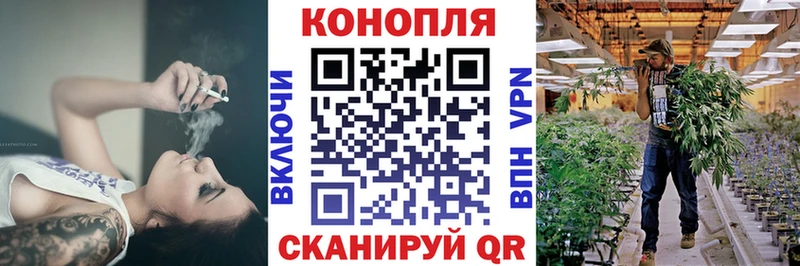 Канабис OG Kush  Комсомольск 